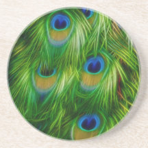 Peacock Feather Print Drink Coaster
