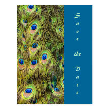 Peacock Feather Save the Date Card Post Cards