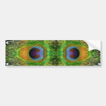 Peacock Feather Show Bumper Sticker