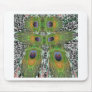 Peacock Feather Show Mousepads
