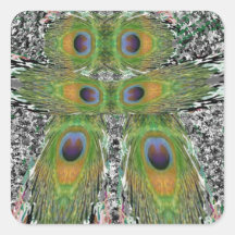 Peacock Feather Show Sticker