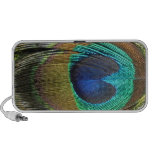 Peacock Feather Speaker