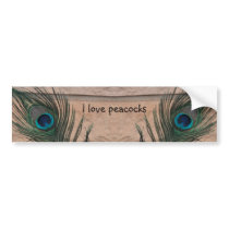 Peacock Feather with Bricks