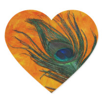 Peacock Feather with Orange