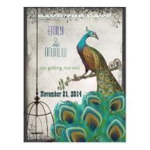 Peacock Feathers Birdcage Save the Date Post Cards