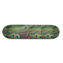 Peacock feathers close up peafowl design skateboard deck