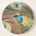 Peacock Feathers Coaster