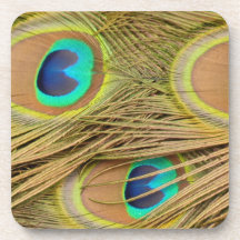 Peacock Feathers Coasters