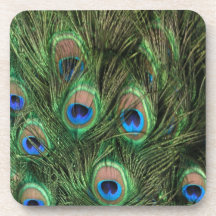 Peacock Feathers Beverage Coasters