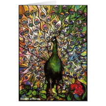 Peacock Feathers Greeting Cards
