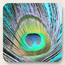 Peacock Feathers on turquoise Drink Coaster