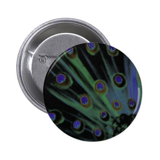Peacock Feathers Pin