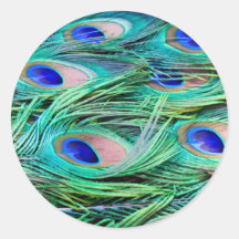 Peacock Feathers Round Stickers