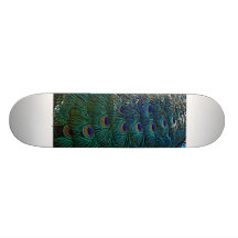 Peacock Feathers Skateboard