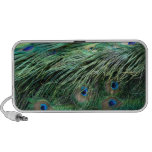 Peacock Feathers Speaker