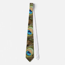 Peacock Feathers Tie