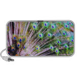Peacock Feathers Travelling Speakers