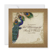 Peacock & Feathers Vintage Gold Look Damask  Swirl