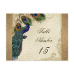 Peacock & Feathers Vintage Gold Look Damask  Swirl