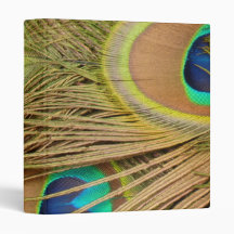 Peacock Feathers Vinyl Binders