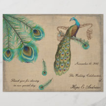 Peacock Feathers Wedding Program Burnt Edges Flyer Design
