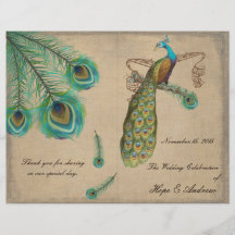 Peacock Feathers Wedding Program Burnt Edges Full Color Flyer