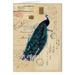 Peacock French Postcards Card