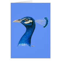 Peacock:  Indian Blue Greeting Cards