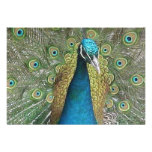 Peacock Invitation