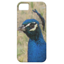 Peacock iPhone 5 Case casemate cases