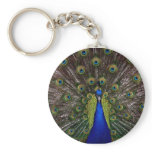 Peacock Keychain