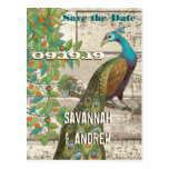 Peacock Love Bird Sitting in a Tree Save the Date Post Cards