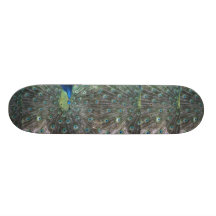 Peacock male in full fan photograph skate deck