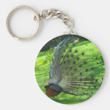 peacock mating dance key chains