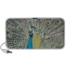 Peacock Mini Speakers