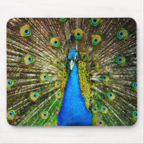 Peacock Mousepad