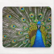 Peacock Mousepads
