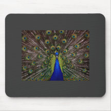 Peacock Mousepad