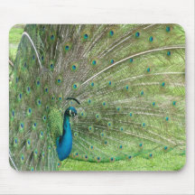 Peacock Mousepad