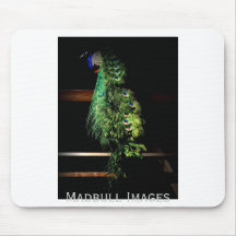 Peacock Mousepads