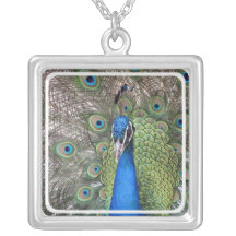 Peacock Necklace