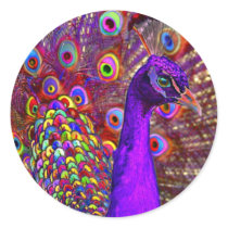Peacock of a million colours