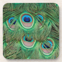 Peacock plumage coaster