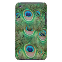 Peacock plumage iPod touch cases