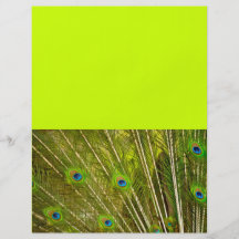 Peacock-plumage-texture944 PEACOCK FEATHERS PHOTO Custom Flyer