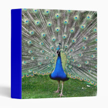 Peacock Plume Binder