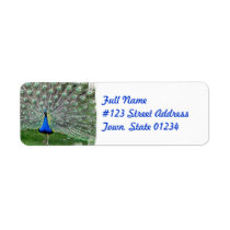 Peacock Plume Mailing Label