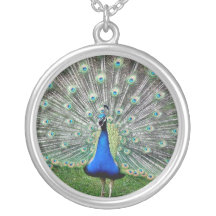 Peacock Plume Necklace