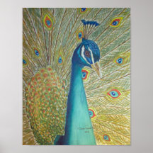 Peacock Posteres