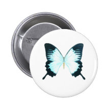 Peacock Royal Butterfly Pinback Button